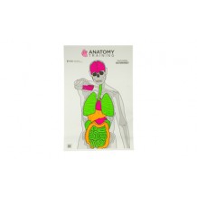 ACTION TGT ANATOMY TRNG 100PK