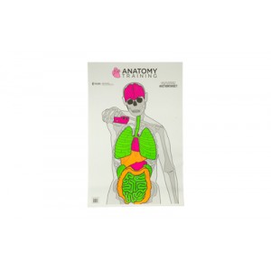 ACTION TGT ANATOMY TRNG 100PK