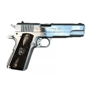 AMPF 1911 2ND CNTRY 45ACP 5