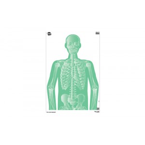 ALLEN EZ AIM 23X35 RADIANT SILH 3PK