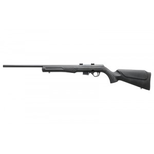 ROSSI RB17 17HMR 21