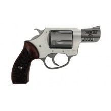 CHARTER ARMS CYTE 380ACP 2