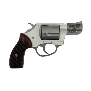 CHARTER ARMS CYTE 380ACP 2