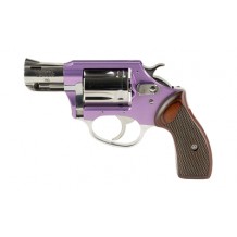 CHARTER ARMS CYTE 380ACP 2
