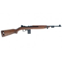 CHIAPPA M1-22 22LR 18