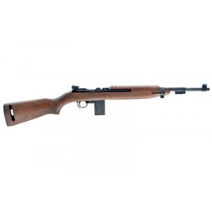 CHIAPPA M1-22 22LR 18