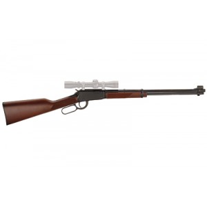 HENRY CLASSIC LEVER 22WMR 19.25