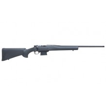 HOWA M1500 22ARC 22