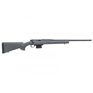 HOWA M1500 22ARC 22