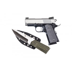 DE 1911 45ACP 3