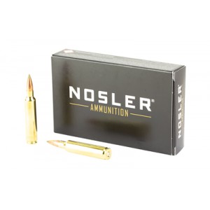 NOSLER E-TIP 30NOS 180GR 20/200