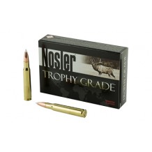 NOSLER 30-06 165GR AB 20/200