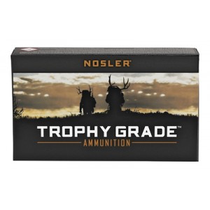 NOSLER TG 243WIN 100GR PT 20/200