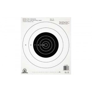 CHAMPION NRA B16 25YD PSTL S/F 100PK