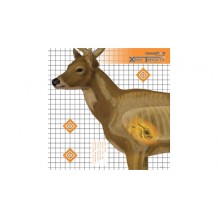 CHAMPION DEER X-RAY TARGET 6/PK