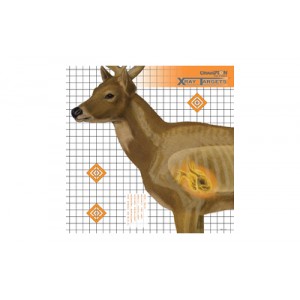 CHAMPION DEER X-RAY TARGET 6/PK