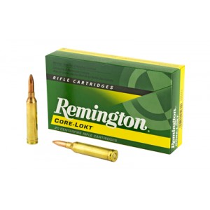 REM 264WIN MAG 140GR PSP CL 20/200