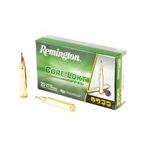 REM 300 WIN MAG 180GR CL TIP 20/200