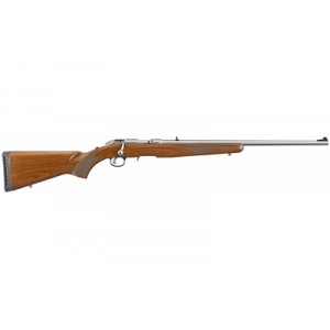 RUGER AM RIM 17 HMR 22