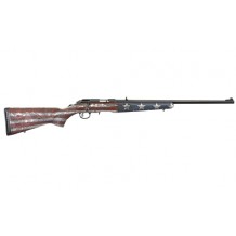 RUGER AM RIM 17 HMR 22