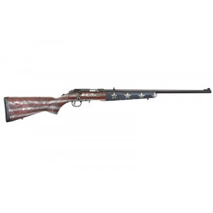 RUGER AM RIM 17 HMR 22