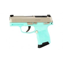 SIG P365 380ACP 3.1
