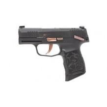 SIG P365 MS 380ACP 3.1