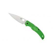 SPYDERCO NATIVE CHIEF SALT LW GRN