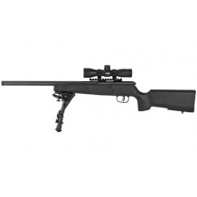 SAV RASCAL TRGT XP 22LR 16.125