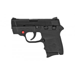 S&W BDYGRD 380ACP 6RD 2.75