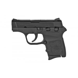 S&W BDYGRD 380ACP 6RD 2.75 NO LSR